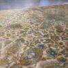 Contenporary Tabriz Persian Rug with Floral Design 4x6.3 - Image 4